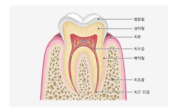 솔빛치과 이미지