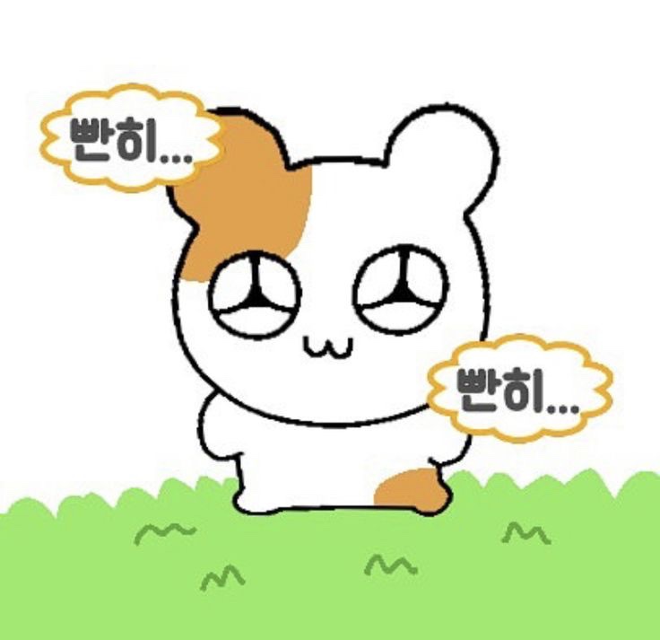 오늘여기서 이미지