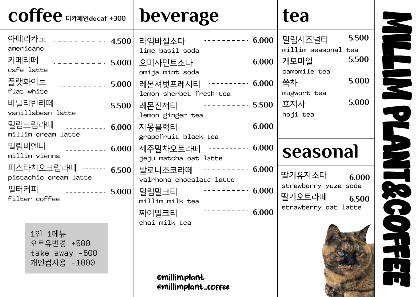 밀림 플랜트 커피 이미지