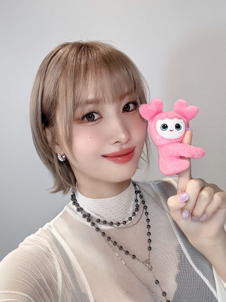 모모투어 이미지