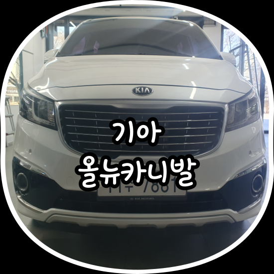 김프로카케어 이미지