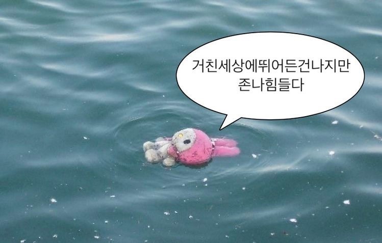 파인주 이미지