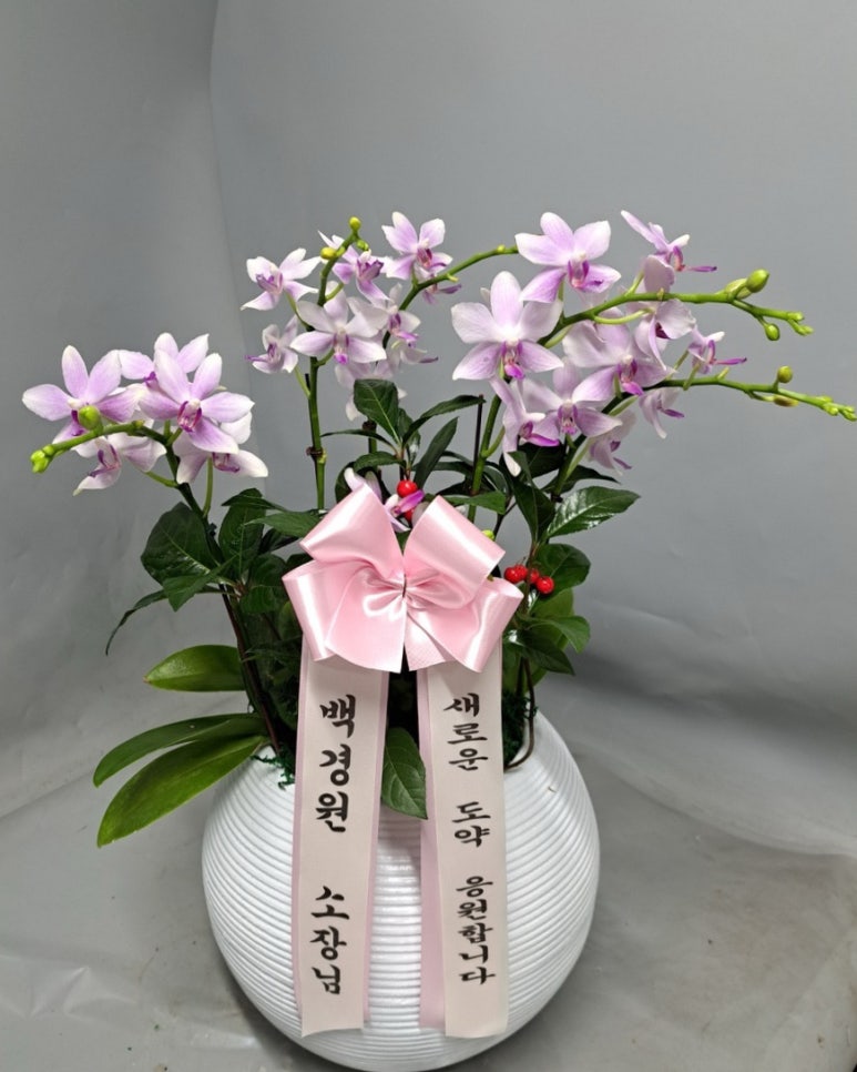 헤이리스고읍점 이미지
