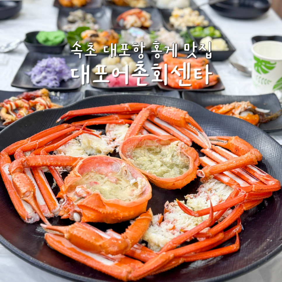 대포어촌회센타 이미지