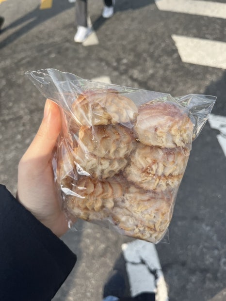 빵내솔 이미지