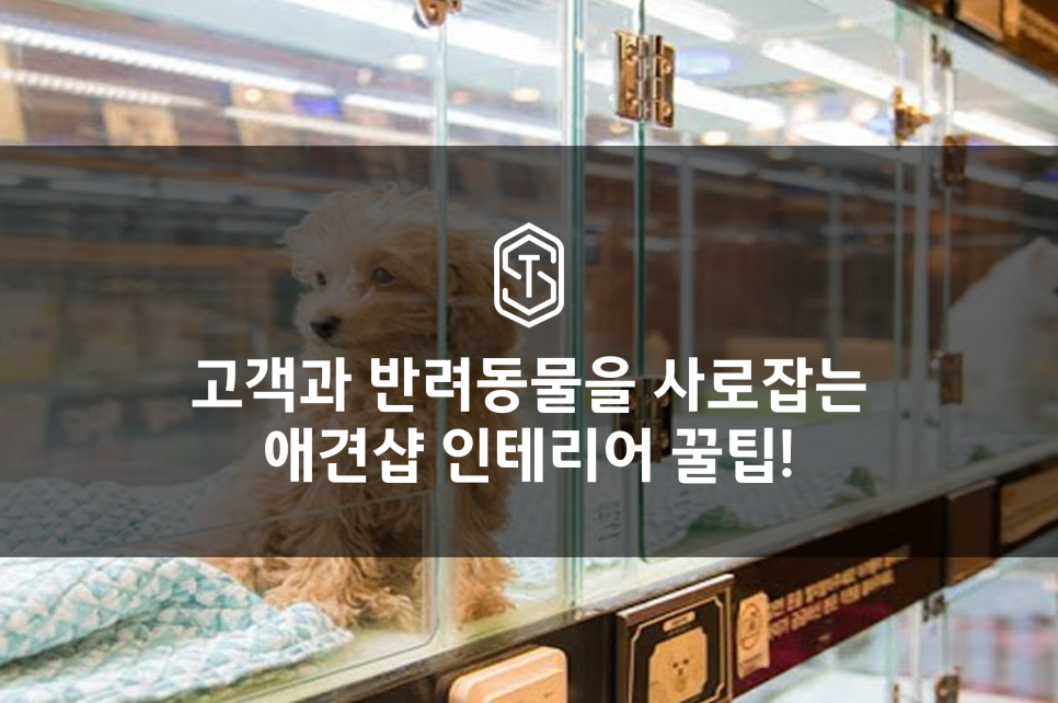스마테리어 이미지