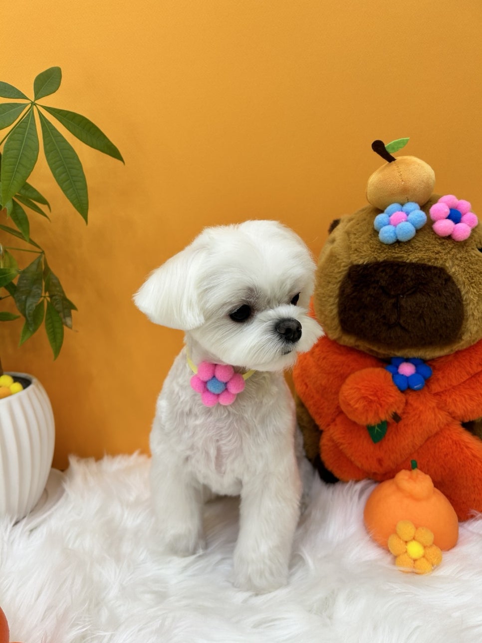 성덕미용실 이미지