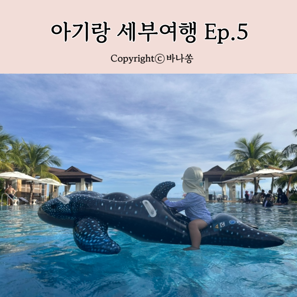 골드문짐 이미지