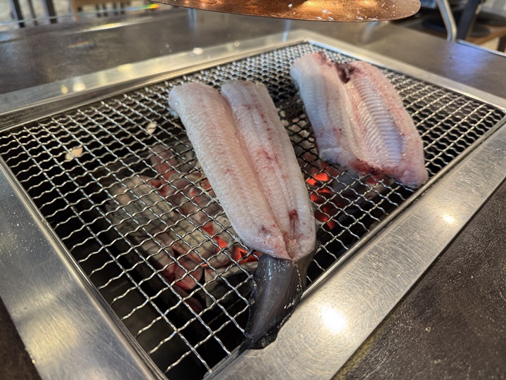 미친장어 이미지