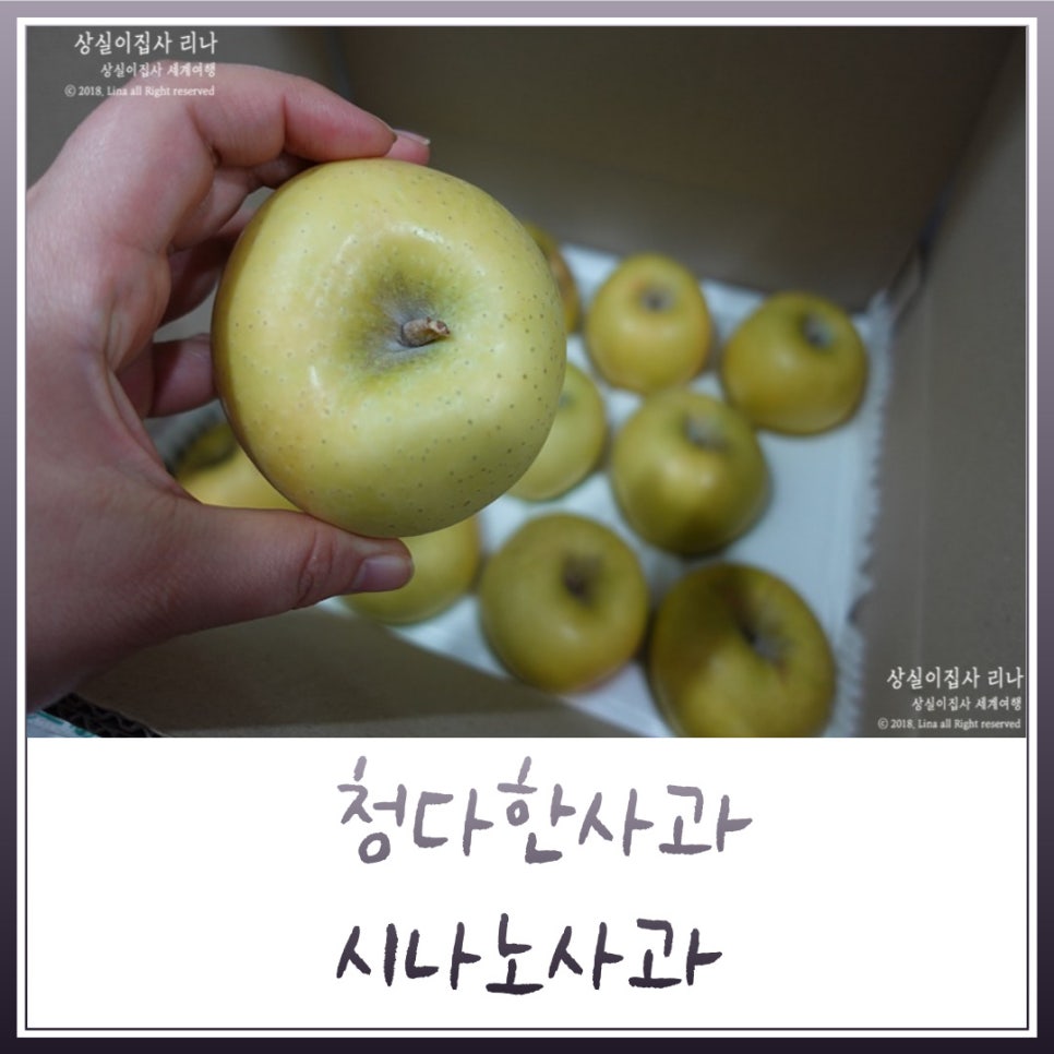 청다한 이미지
