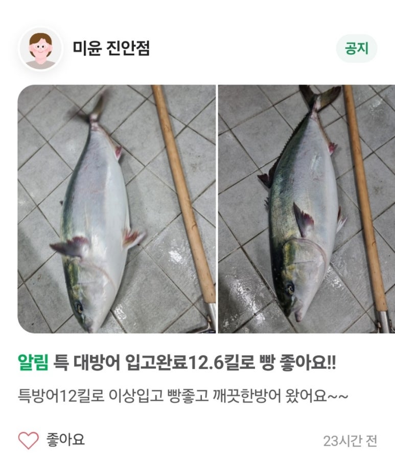 미윤 이미지