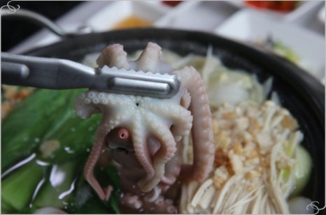 목포낙지 이미지