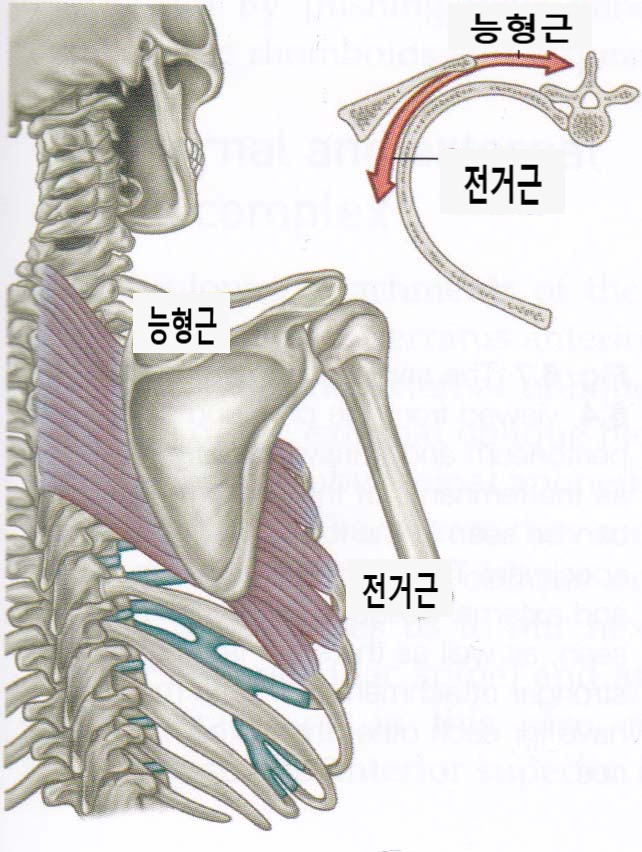 방당쥬 이미지