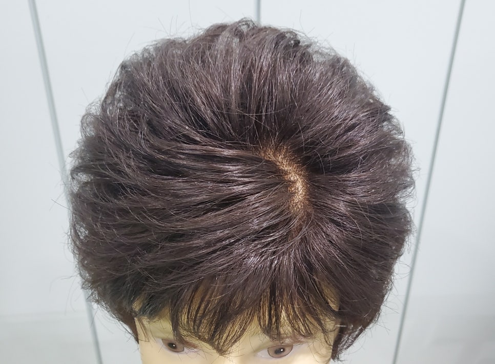 가모미모 이미지