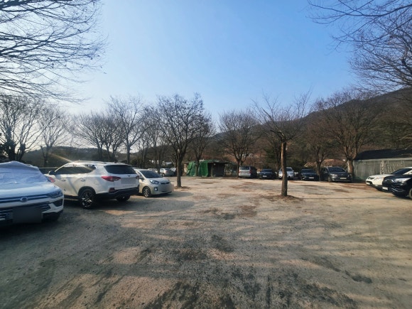 김봉창코다리 이미지