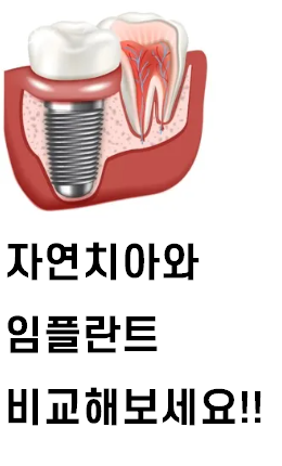 솔빛치과 이미지