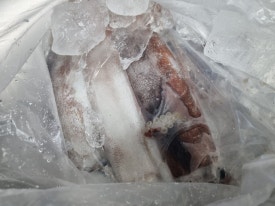 대운수산 이미지