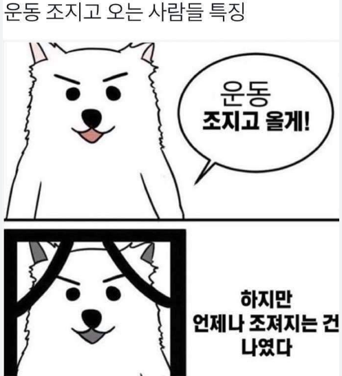 트랜스바디짐 이미지