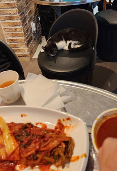 율한식 이미지