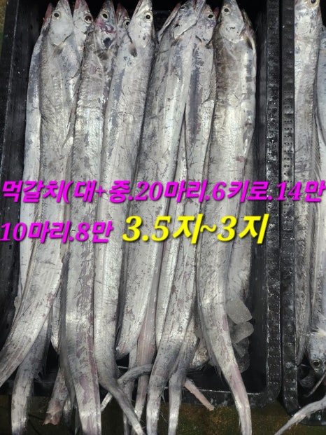 임여사수산 이미지