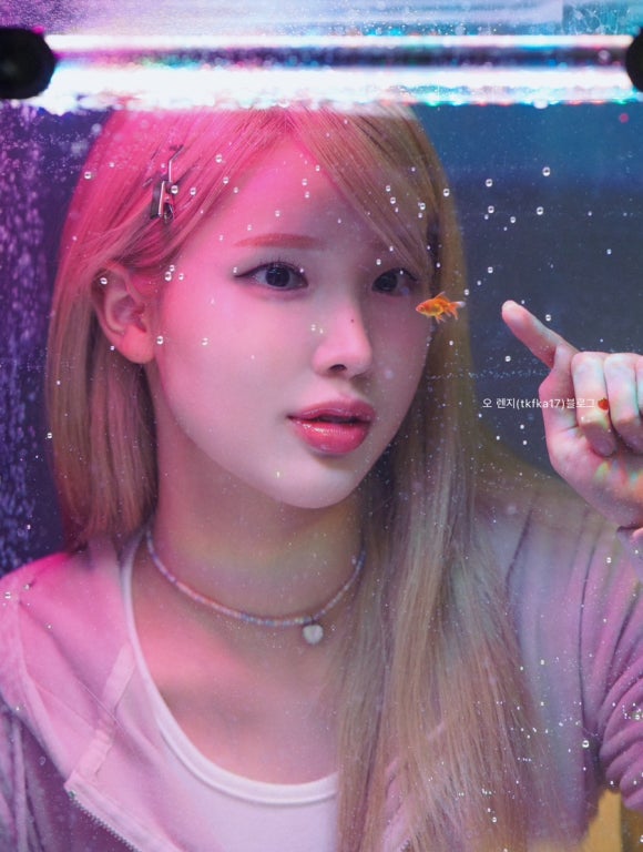 물들이다사진관 이미지