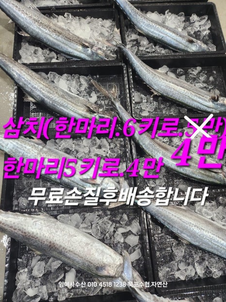 임여사수산 이미지