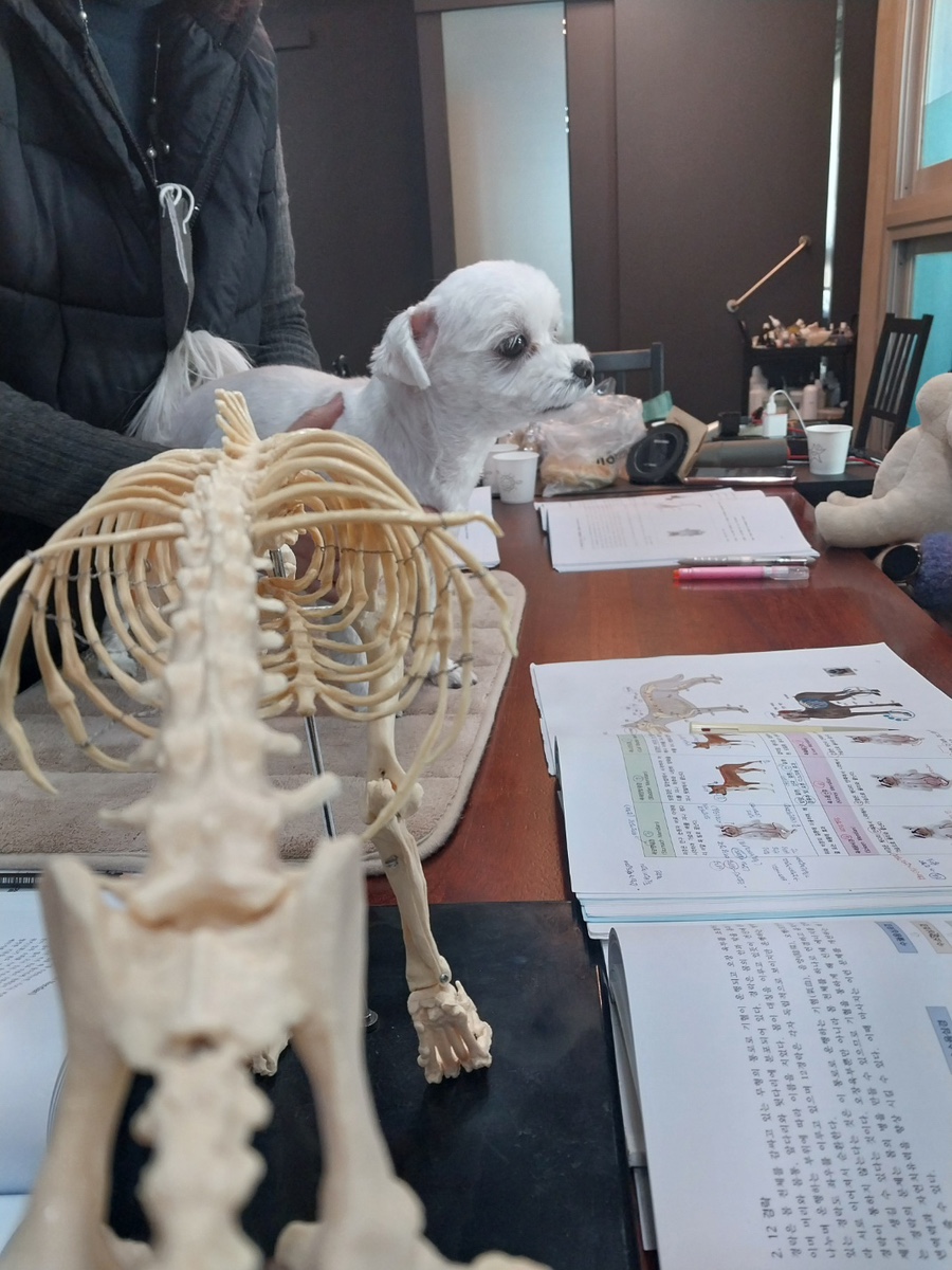 네추럴레매디 이미지