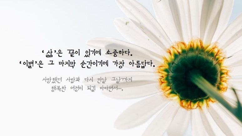 본라이프상조 이미지