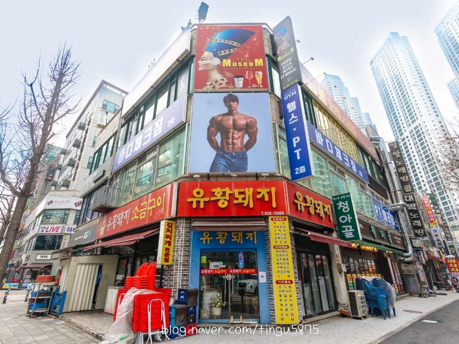 바디체크 이미지