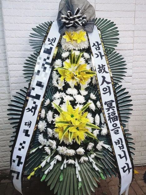 플렌케 이미지
