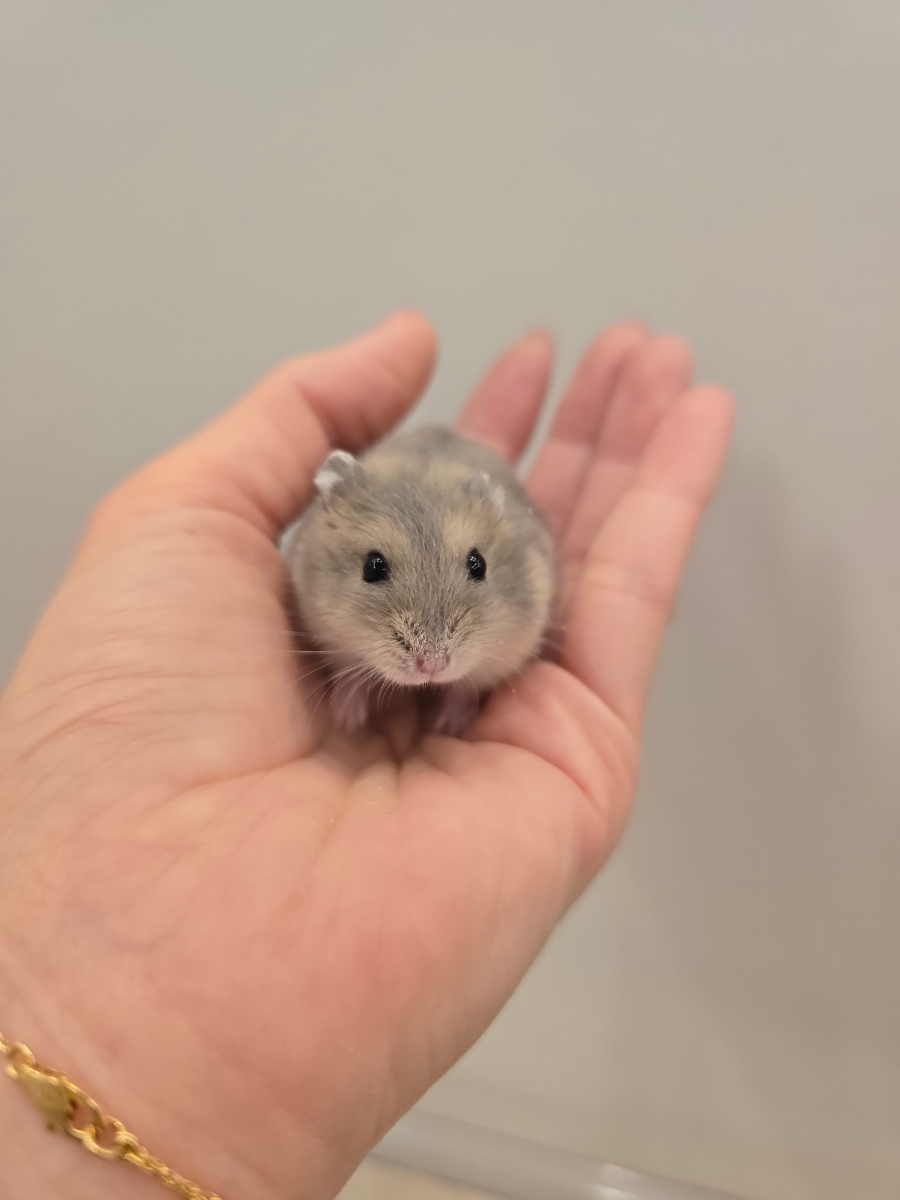 기환경 이미지