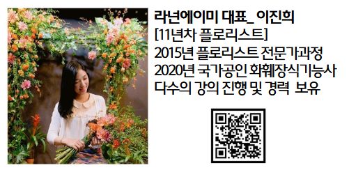 라넌에이미 이미지