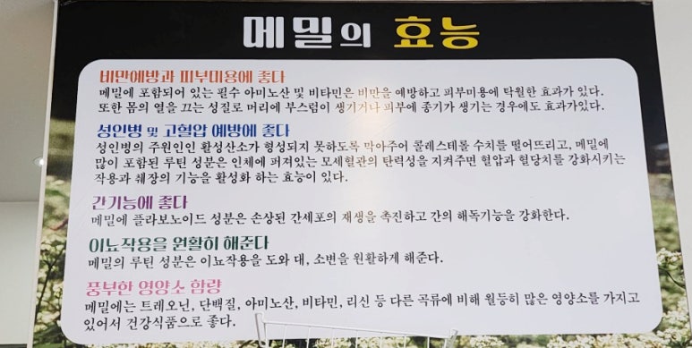 석가네 이미지