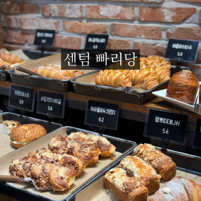 빠리당 이미지