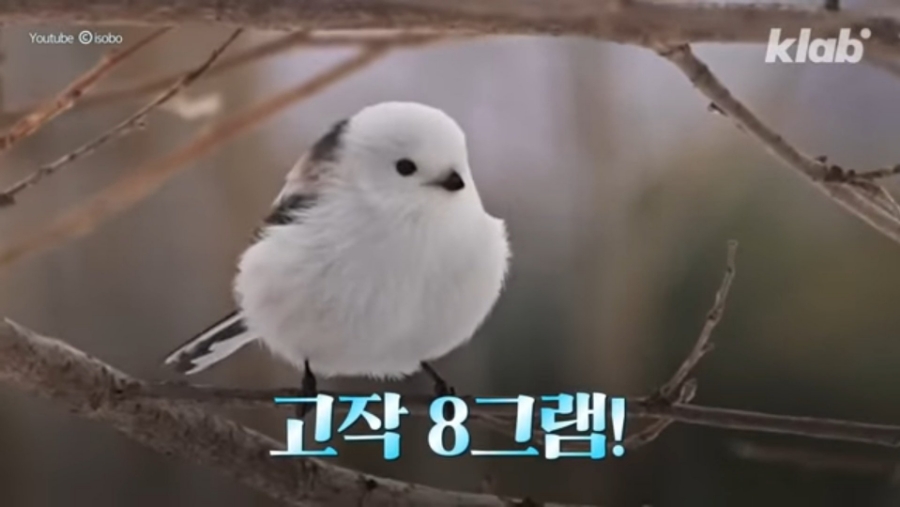 투어로망 이미지
