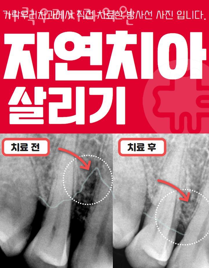 가락우리치과 이미지