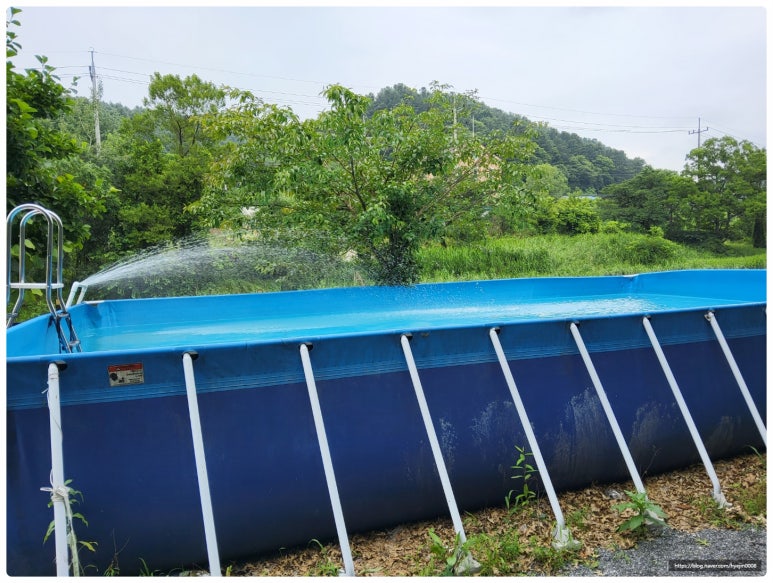 세라핌캠프 이미지