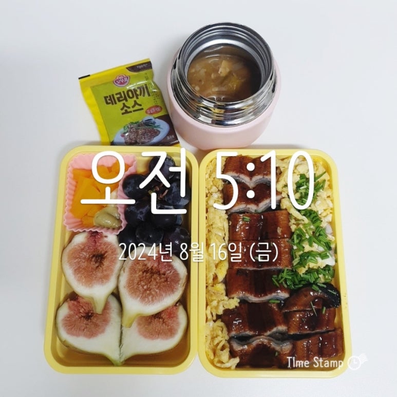 오라장어 이미지