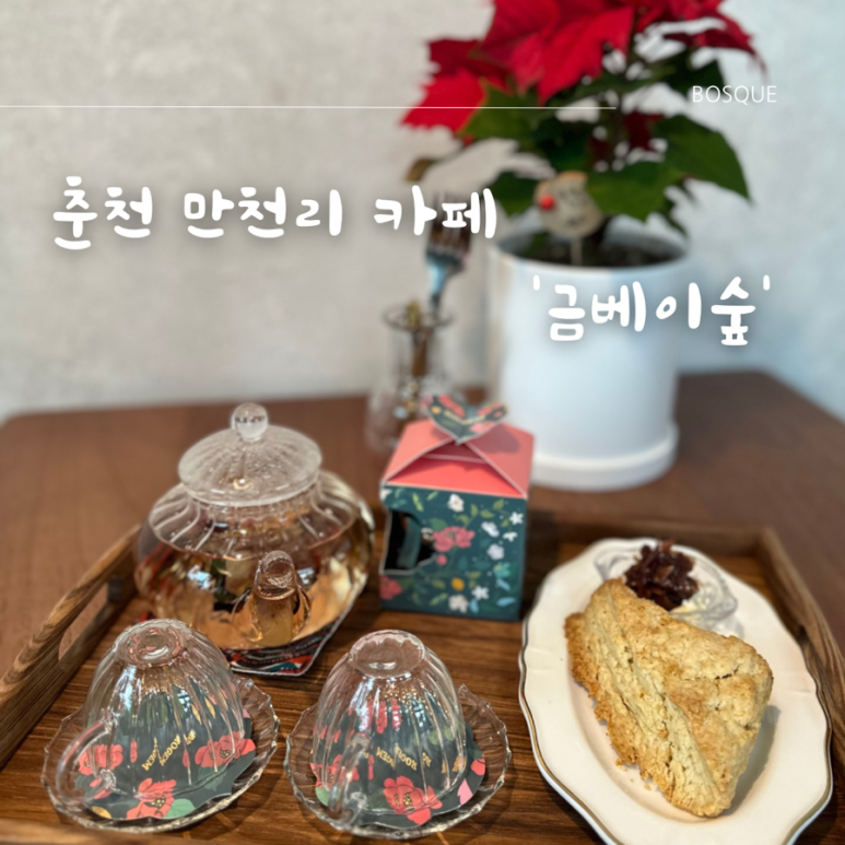 금베이숲 이미지