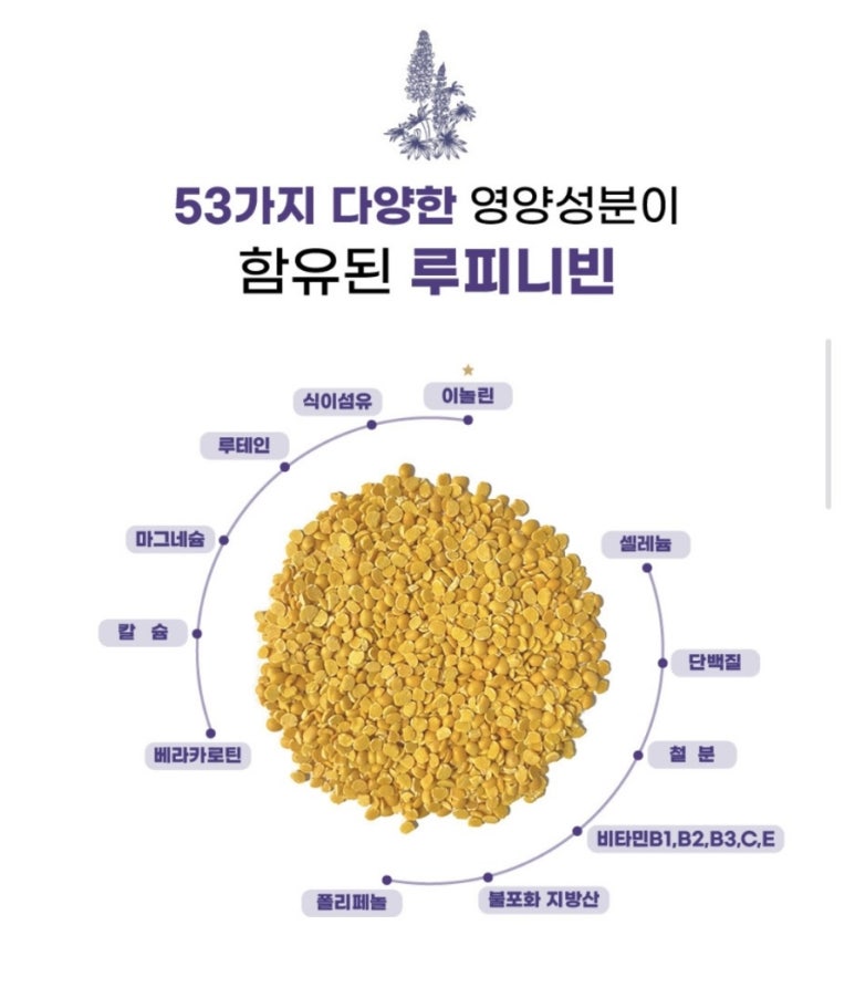 셀더바이 이미지