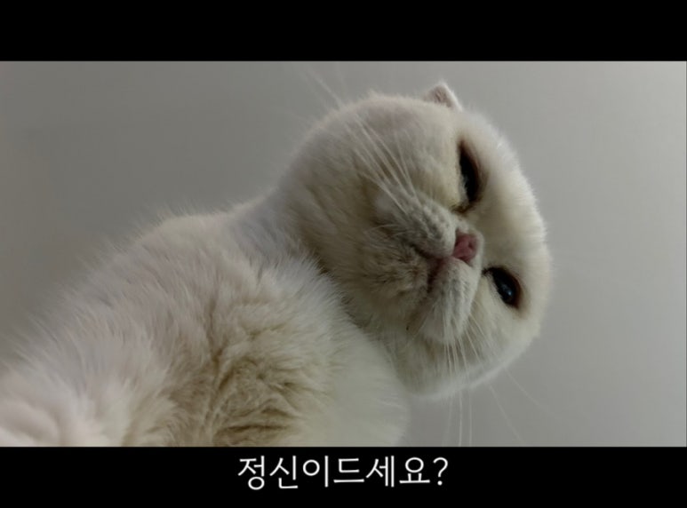 윤메디컬 이미지