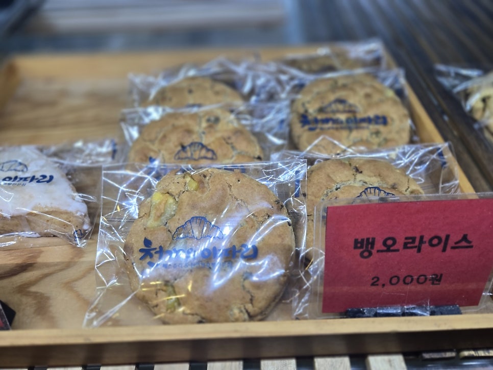 천개의 이파리 이미지