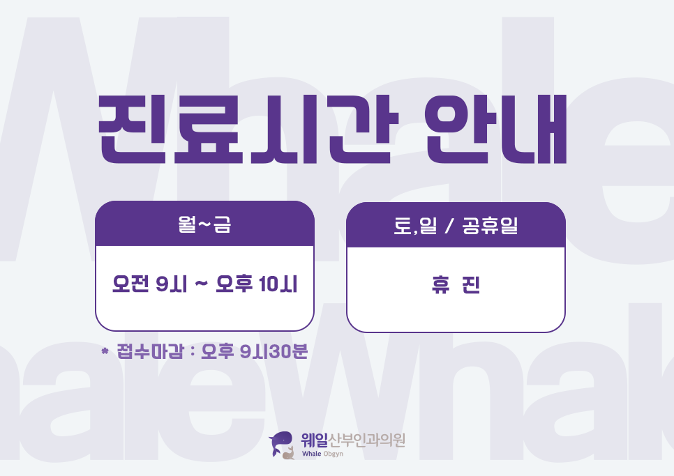 제이웨일 이미지