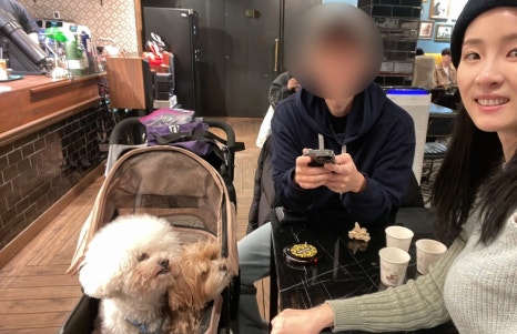 나따오비까(대치점) 이미지