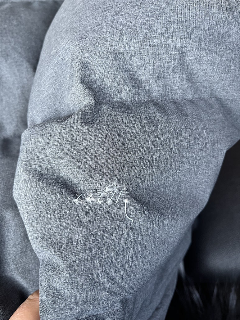 샤론의상실 이미지