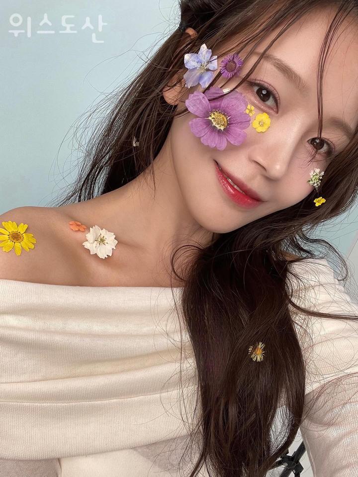 위스 이미지