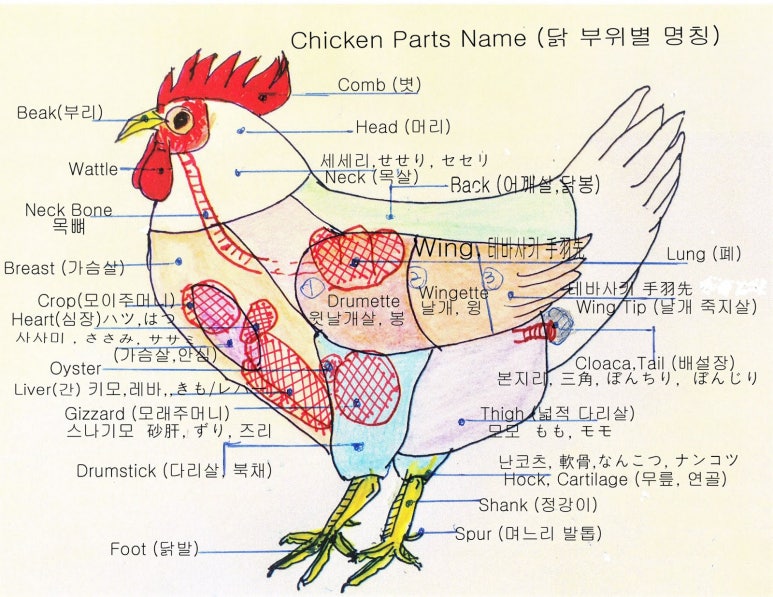 키유 이미지