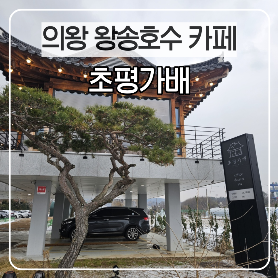 초평가배 이미지