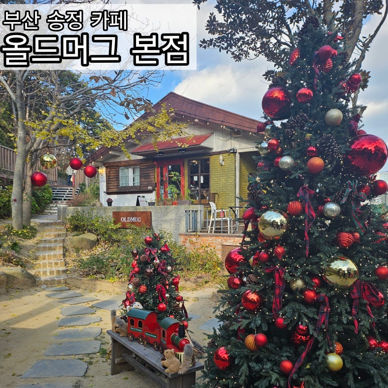 올드머그 임랑점 이미지