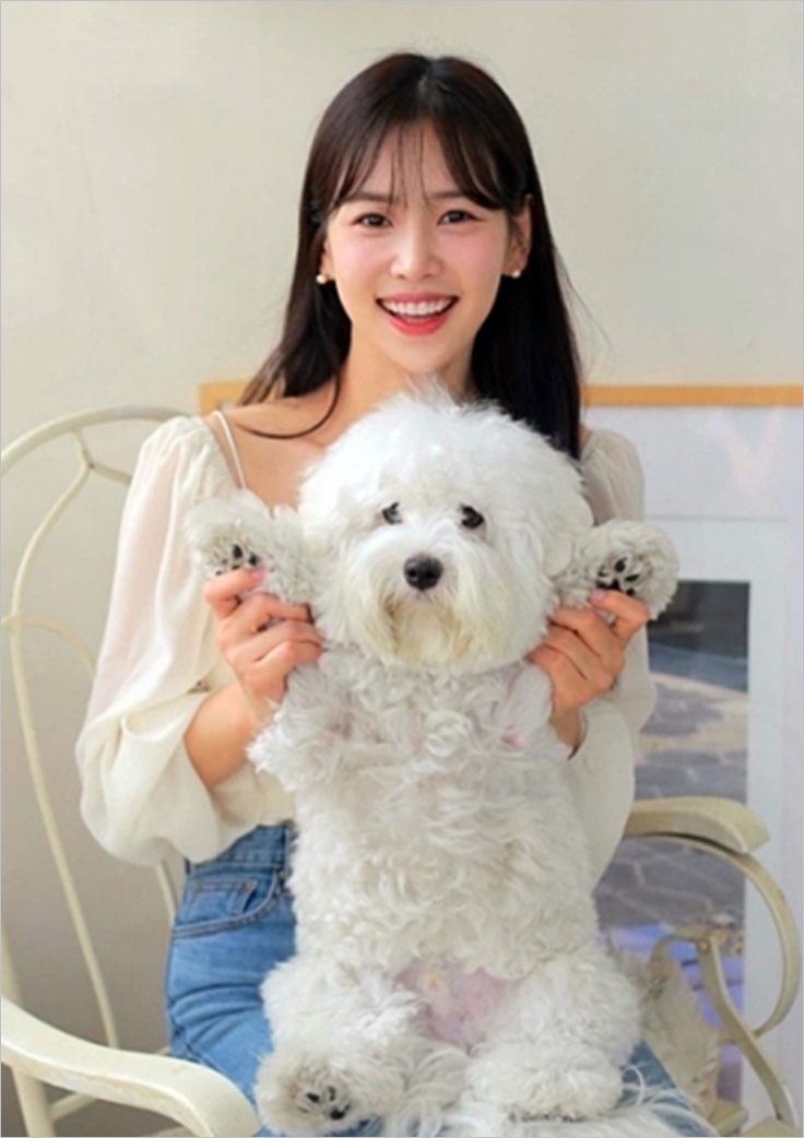 대박이집 이미지